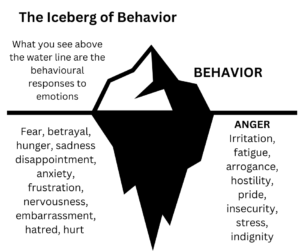 iceberg with behaviour on top, emotions on bottom